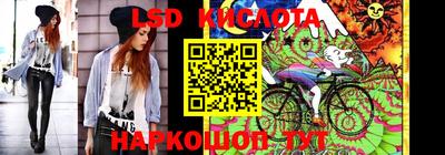 винт Будённовск