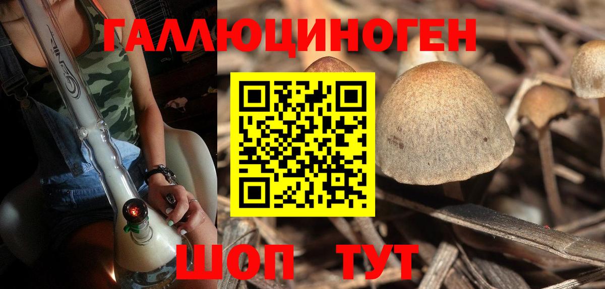 Михайловск  сколько стоит  Вход с VPN  Галлюциногенные грибы MAGIC MUSHROOMS 