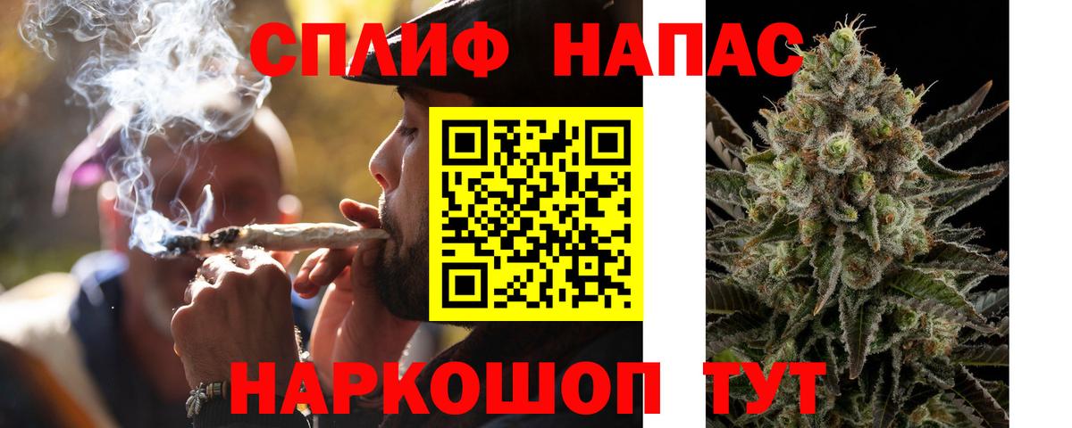 Конопля план Михайловск